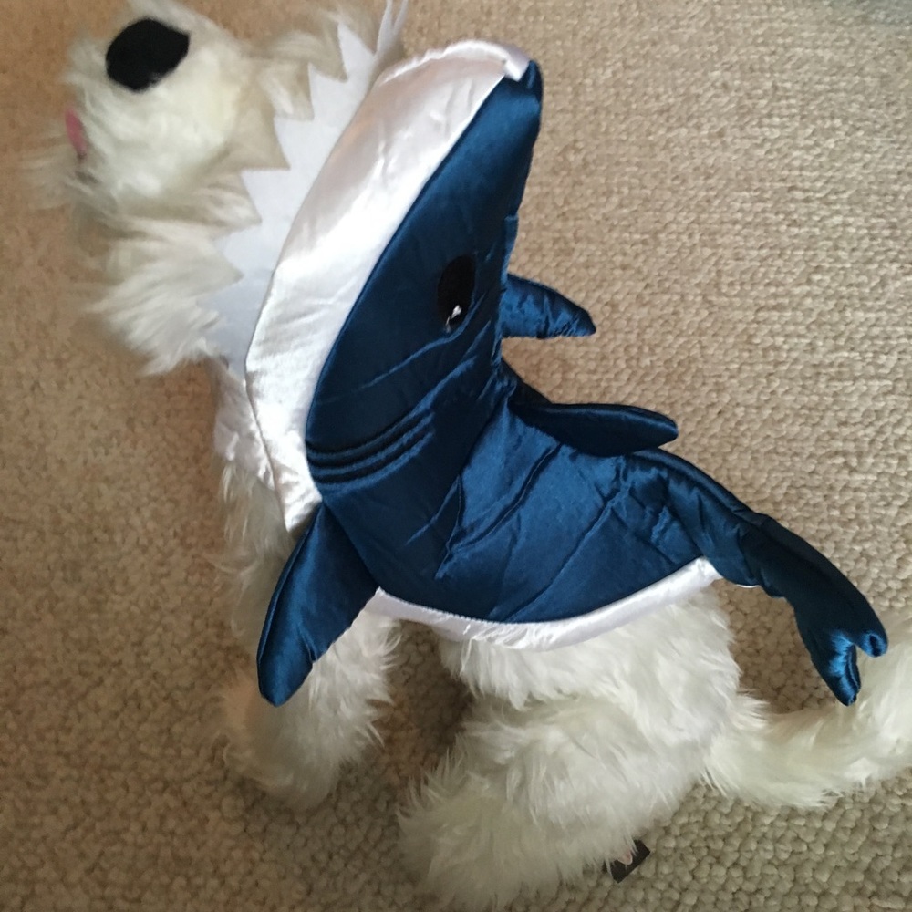 Pet Shark Costume Small